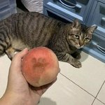 고1 내신1점대인데 물어볼거있오?