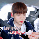 팬이서 <b>수빈</b>
