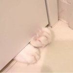 너네 <b>첫</b> <b>데이트</b> 어땠어?