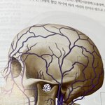 야 애들아 너넨 이거 보고 무슨 <b>느낌들</b>엎