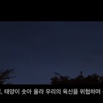 [이것좀봐줘] 엔하이픈 세계관 <b>궁예</b> 정리글