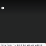 와 아이린 <b>쉴드</b> 치는 사람들