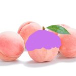 [시즈니] 재현이 <b>보라</b>머리