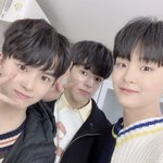 [트레저] 트레저 파면서 제일 화나는거