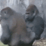 [드루와] 어몽어스 <b>잼민</b>이유입