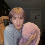 [NCT] 브이앱 토끼 이러고 있었을듯