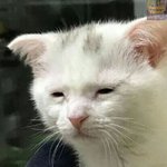 [조언부탁해] 날 좋아하는 사람 거절하는법