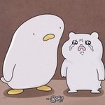 [방탄소년단] 이삐들 ㅠㅠㅠㅠㅠ