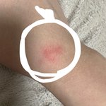 [19] ㅋㅅ마크 언제 사라짐