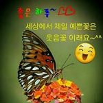 [19] 남자친구랑 고민...심각해
