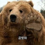 얘들아 코에 블랙<b>헤드</b>?? 어떻게 없애냐