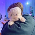 [더보이즈] 오늘부터 내 일코짤