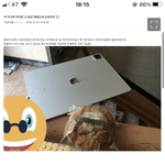 <국내 1호 아이폰 12호 <b>사망자</b> 속출>
