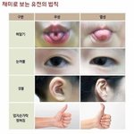 [이것좀봐줘] 나 혀 말기 <b>장인</b>임