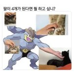 아 우리집은 오빠한테 유전자 몰빵임