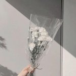 [드루와] 연예인 관리, 화장 ㄹㅇ개쩌는 듯