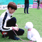 [방탄소년단] 아 힐링 개 <b>오진</b>다 스트레스 싹