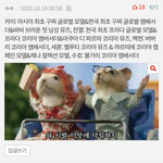 [EXO] <b>그</b>로 본진따위는 <b>꿈</b>도 못꾸는 명.품
