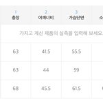 165에 이거 L <b>사면</b> 어떨거같아