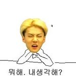 엑소 못생긴 짤 가져와도 <b>타격</b>없는 이유
