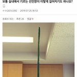 [댓글부탁해] 벨툰 보는애두러 추천 좀 해조