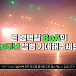 현재 난리난 SM 플랜 (빡침주의)