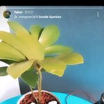 [페이커] 페스타스토리 업뎃