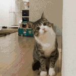 <b>Sm</b>증사 오디션 이런거 또 안하나 내 친구 사진