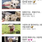 [드루와] 펫튜버인뎅 <b>채널명</b> 추천좀