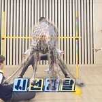 [방탄소년단] 나 여기서 <b>개자</b>지러짐 ㅋㅋㅋㅋㅋㅋㅋㅋㅋㅋㅋㅋ