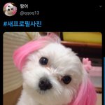 [TXT모아] 어느 연프 모아의 새<b>인장</b>