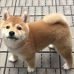[뷰티] <b>꼬막눈</b> 왤케 비호감이지