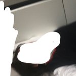 고1 오늘 <b>시험</b>인데 공부 0분 하고 <b>날</b>도 샛음