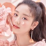 [드루와] sm은 <b>김도아</b> 안데려가고 뭐했냐..