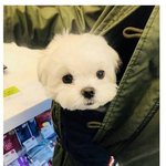 [드루와] <b>라미</b>가 선녀였네