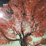 [TXT모아] 네입어포스트/ 553 뮤비 촬영 비하인드 포토