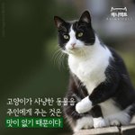 인스타 좋아요 많이 받는법 뭐임..