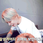 아이돌이란