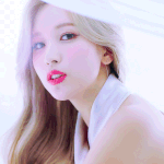 오늘부터 걍 악<b>개함</b>