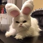 오늘 시험인데