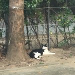 [드루와] <b>애드</b>랑 전남친이 프로필뮤직