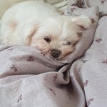 2021 일력 제작을 위해서 여러분들의 2020 속 이야기를 모으고...