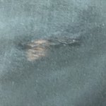 [드루와] 교복바지 <b>구멍</b>뚫려서 체육복 입는 인생
