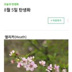엑소엘 생일 <b>탄생</b>화가 뭔지 아니