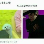 [EXO] 걍 ㅇㅅㅇ 덕질이나 하자