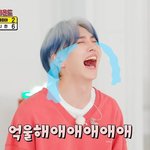 [펜타곤] ㅇㄴ 유니덜..