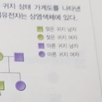 젖은 <b>귀지</b>가 있음??