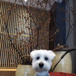 ㅆㅂ 나 거의 <b>수포</b>자인데 10모 2 뜸