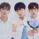 [모두드루와] 이 그룹 뜰거같음??