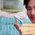 [빅톤] 빅톤 x 반려<b>동물</b>